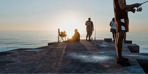 Best Saltwater Fishing Rods