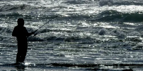 Best Surf Fishing Rod