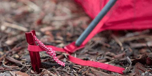 best tent stakes