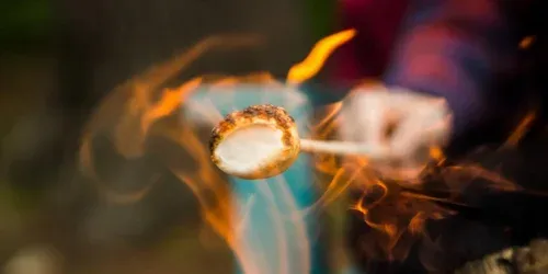 fire gel starter