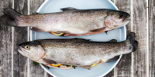 how to clean a trout