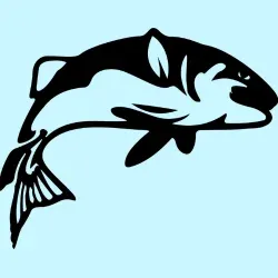 fish cleaning station