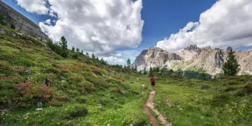 hiking belt