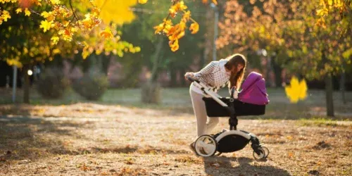 hiking stroller