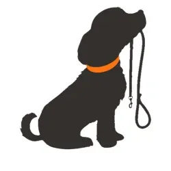 airtag collars