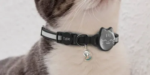 airtag collars