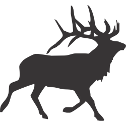 Best Headlamp For Hunting
