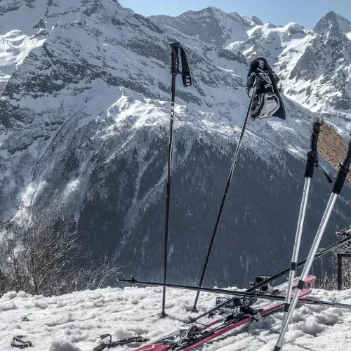how to pole plant skiing