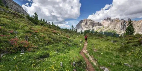 can i use ski pole for hiking