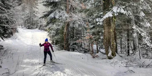 how to replace ski pole baskets