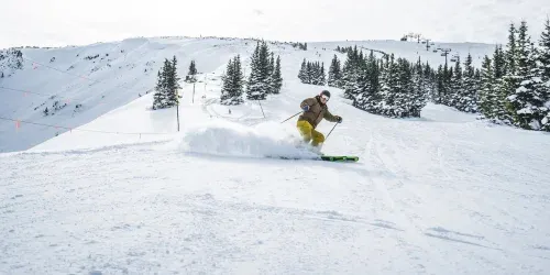 what's a good skier