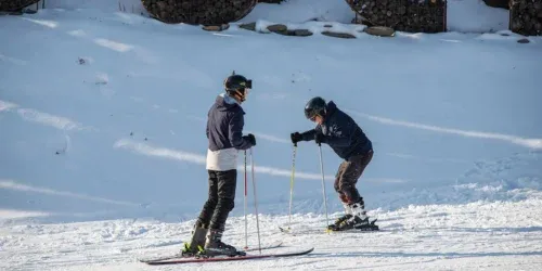 ski poles 2023/24