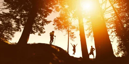 can i use ski poles for hiking