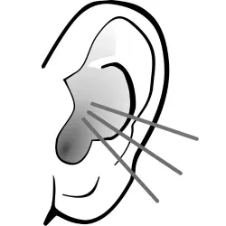 ear protection