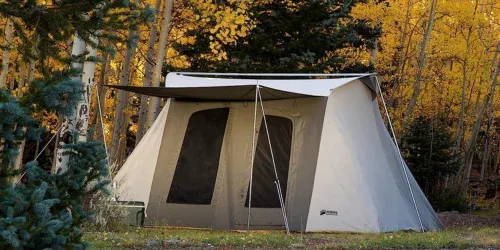 cabin tents