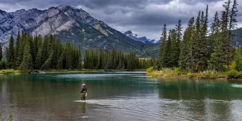 fly fishing