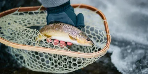 fly fishing