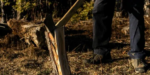 split wood
