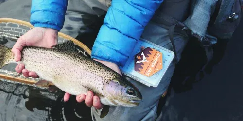 fly fishing