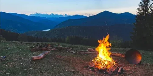 split firewood