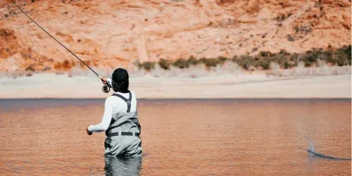 best chest waders