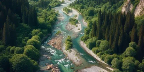 How to Fly Fish: A Comprehensive Guide