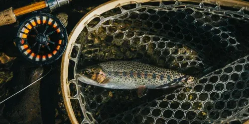 fun rod