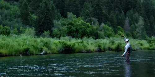 trout fly rods