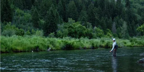 high end fly rod