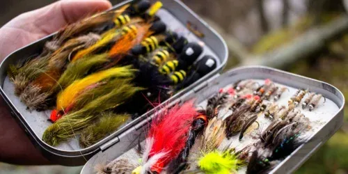 What is a Fly Fishing Streamer?
