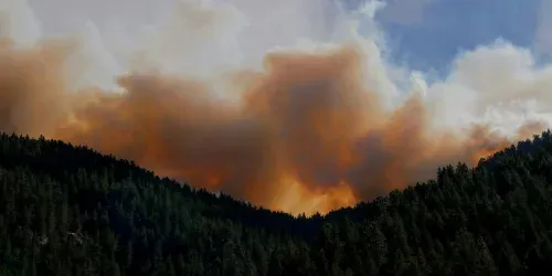 Best Air Purifier for Forest Fire Smoke: Top Picks for Clean Air