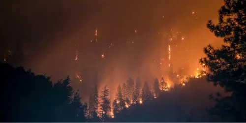 Best Air Purifier for Forest Fire Smoke: Top Picks for Clean Air