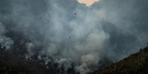 Best Air Purifier for Forest Fire Smoke: Top Picks for Clean Air