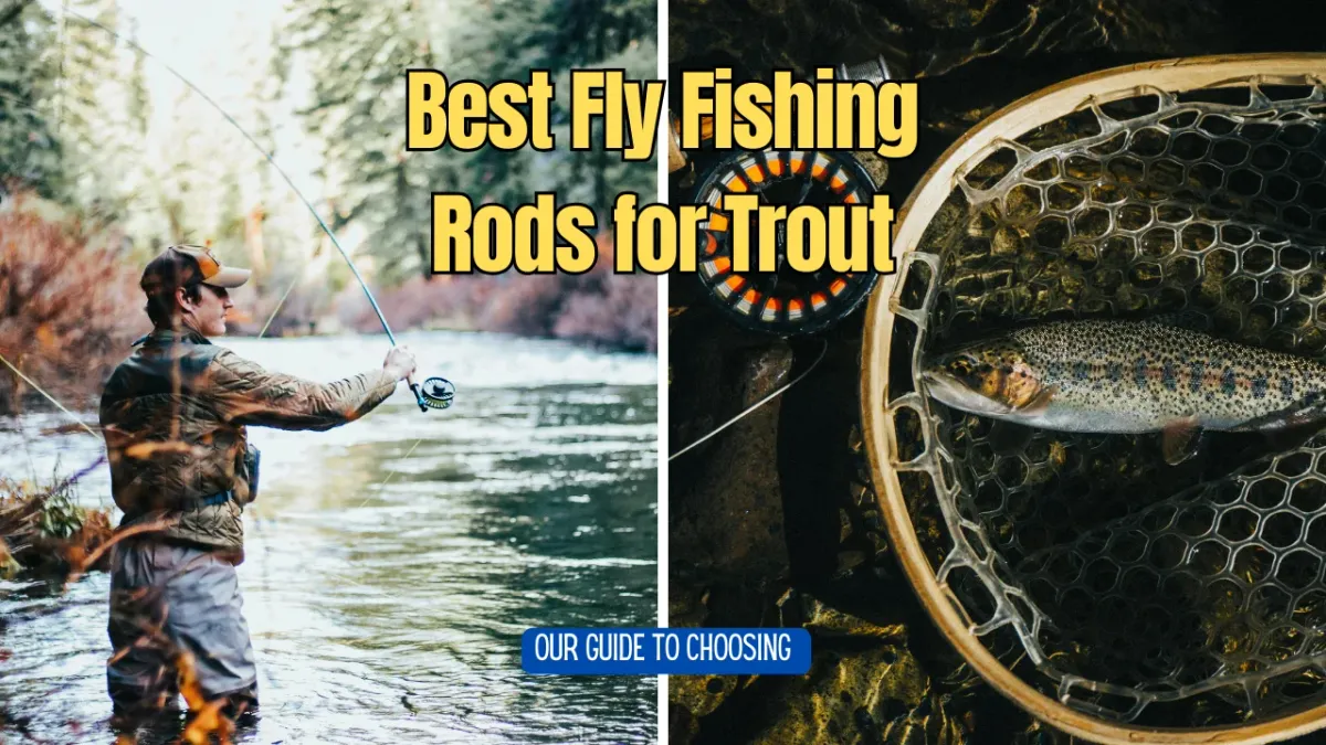 How to Fly Fish for Trout: A Comprehensive Guide