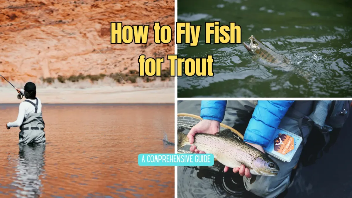 Is Fly Fishing Hard? Let's Take a Closer Look